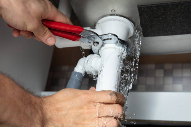 Best Water damage restoration mold remediation  in Fort Recovery, OH
