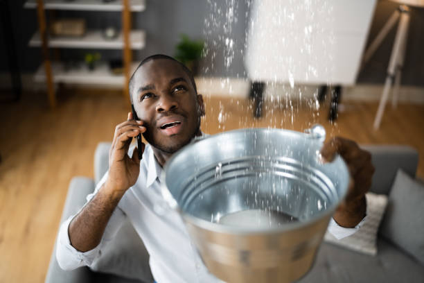 Best Water damage restoration near me  in Fort Recovery, OH