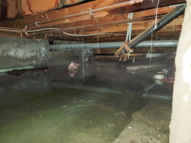 Professional Water damage restoration in Fort Recovery, OH