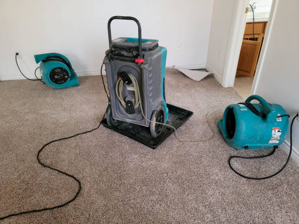 Best Flood damage cleanup  in Fort Recovery, OH