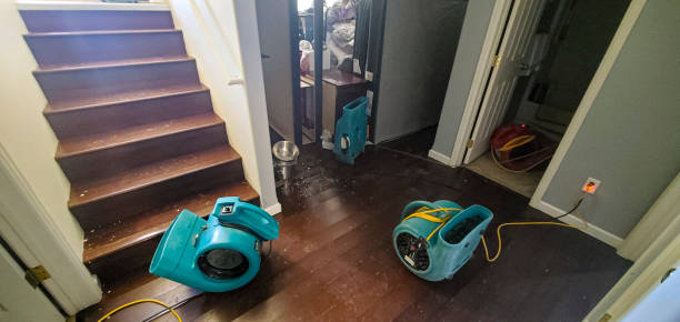 Best Water damage restoration experts  in Fort Recovery, OH