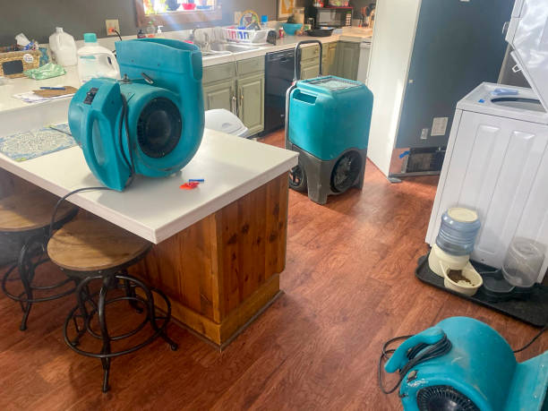 Best Professional water damage repair  in Fort Recovery, OH