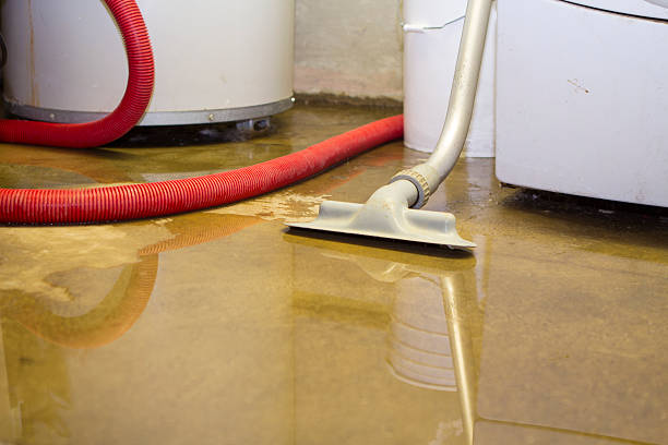 Best 24-hour water damage restoration  in Fort Recovery, OH