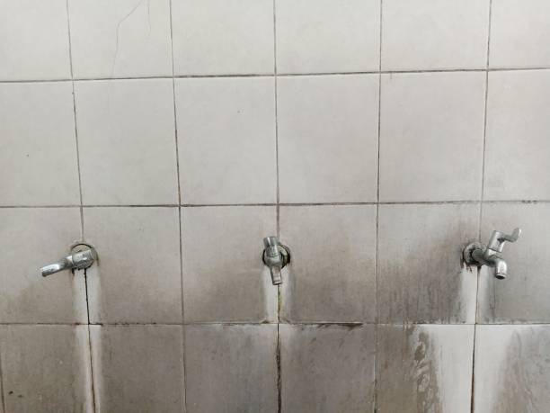 Best Water damage restoration process  in Fort Recovery, OH