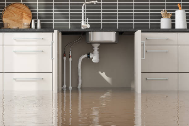 Best Local water damage restoration  in Fort Recovery, OH