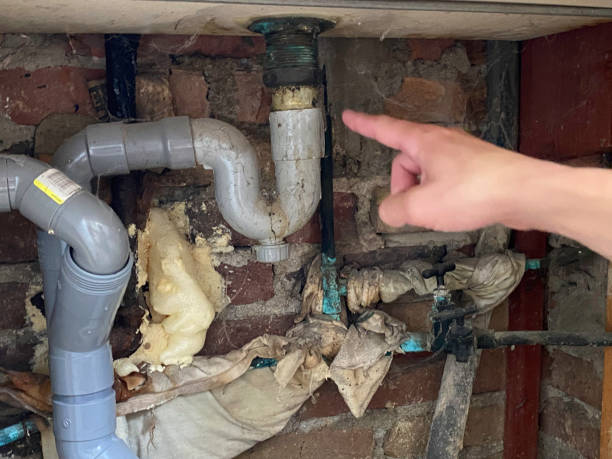Best Carpet water damage restoration  in Fort Recovery, OH
