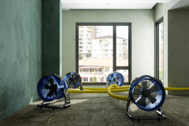Best Commercial water damage restoration  in Fort Recovery, OH